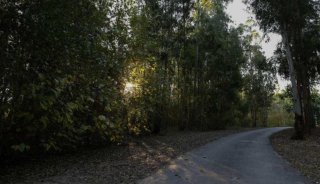 Terrenos - Iriondo - Venta