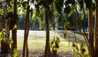 Terrenos - Iriondo - Venta