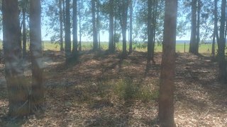 Terrenos - Iriondo - Venta