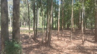 Terrenos - Iriondo - Venta
