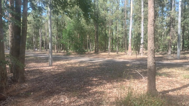 Terrenos - Iriondo - Venta