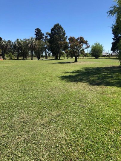 Terrenos - Iriondo - Venta