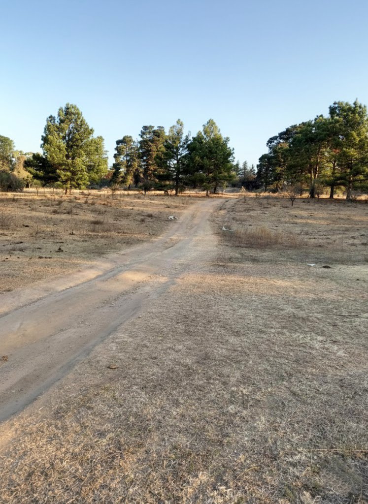 GRAN TERRENO EN VENTA POTRERO DE GARAY - Imagen 4