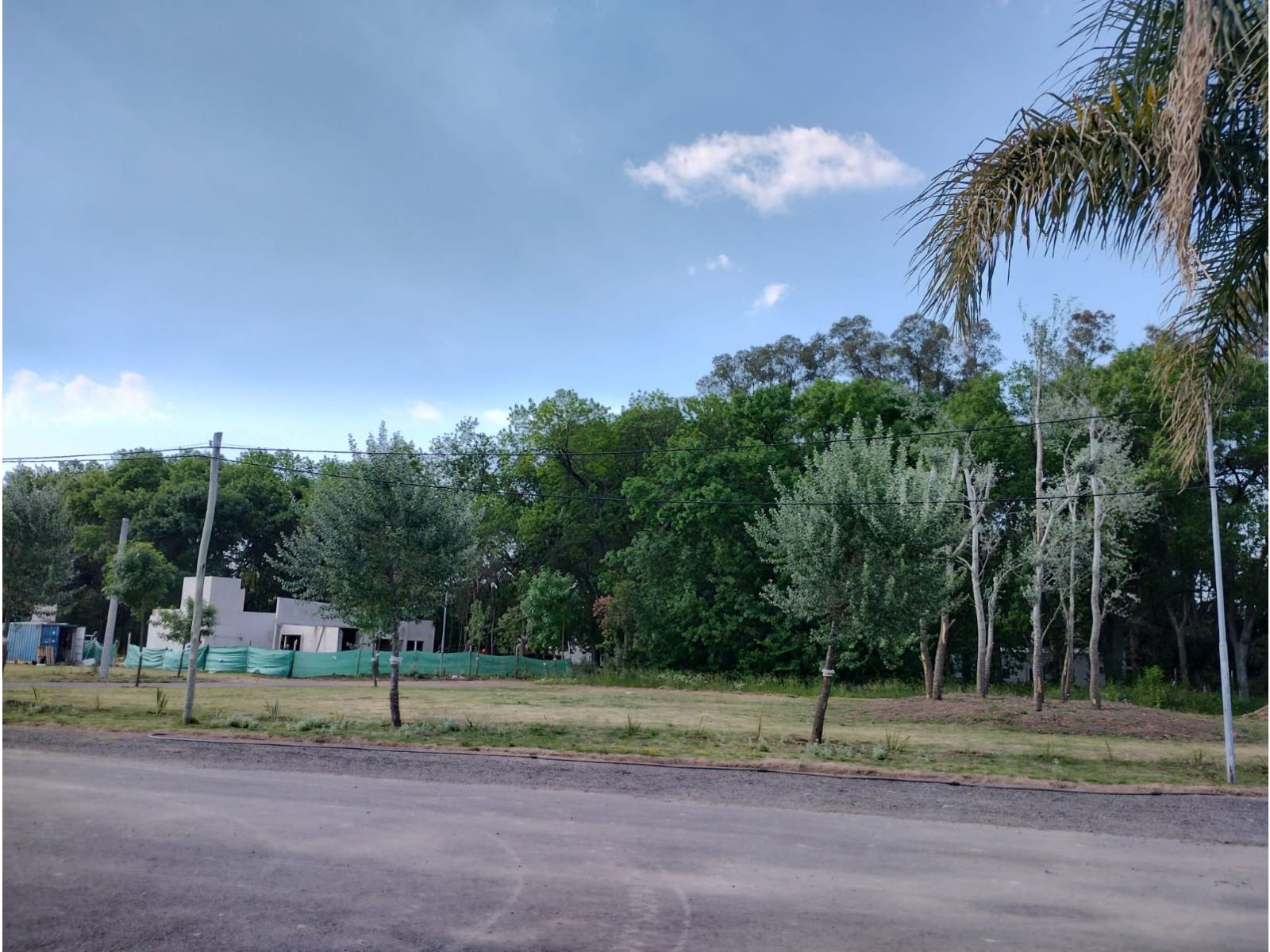Terreno / lote — foto 8