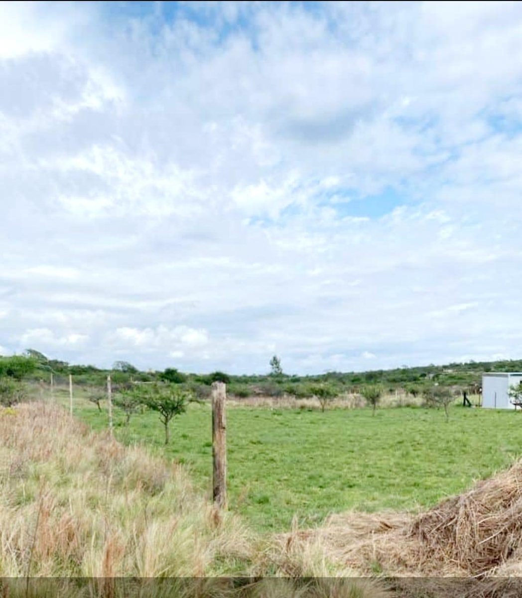 Rio de los Sauces - TERRENOS - Imagen 2