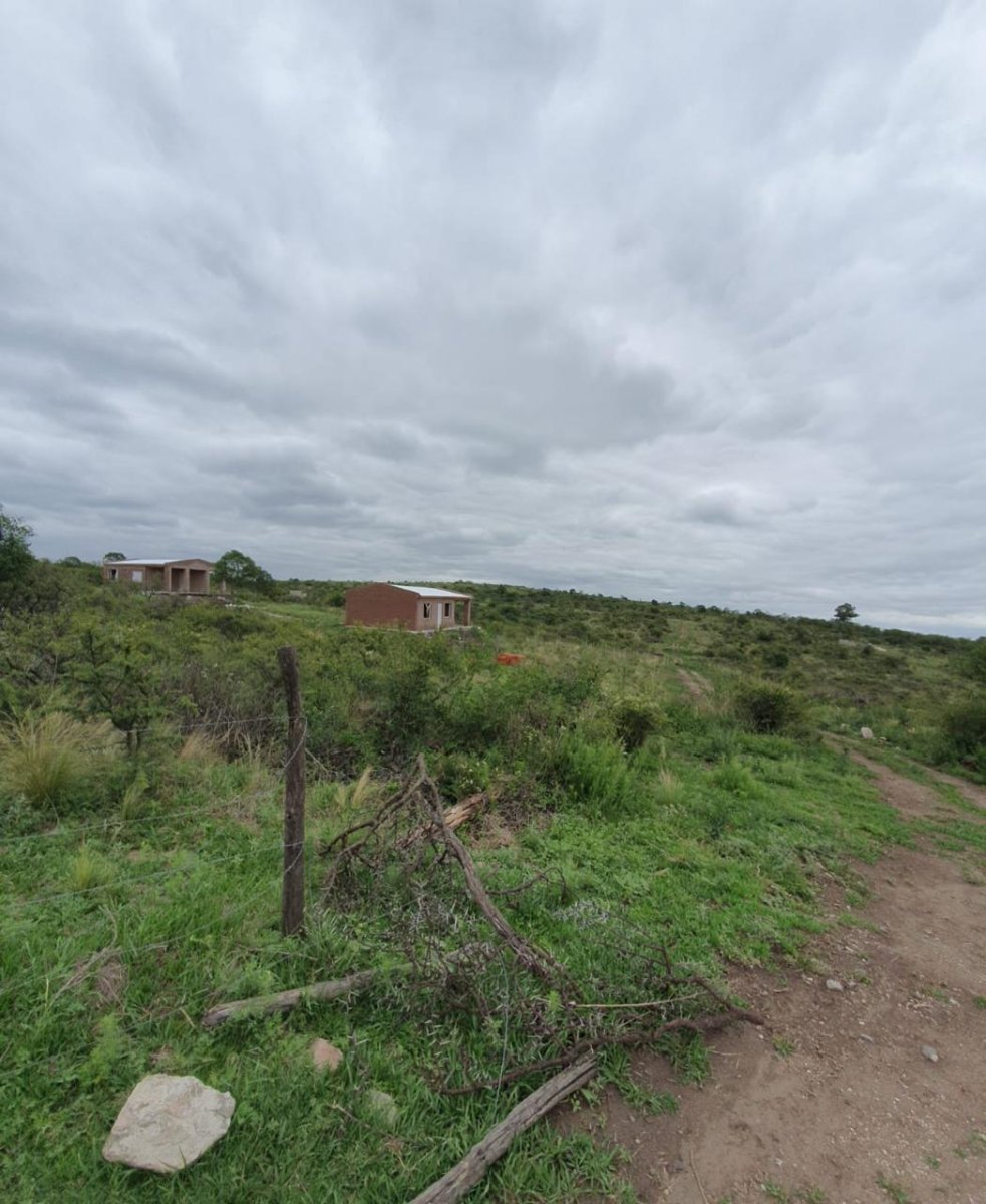 Rio de los Sauces - TERRENOS - Imagen 3