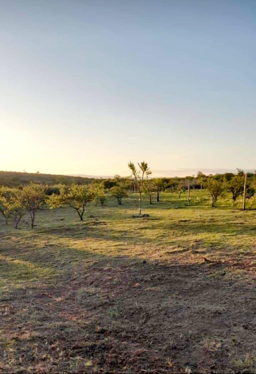 Rio de los Sauces - TERRENOS