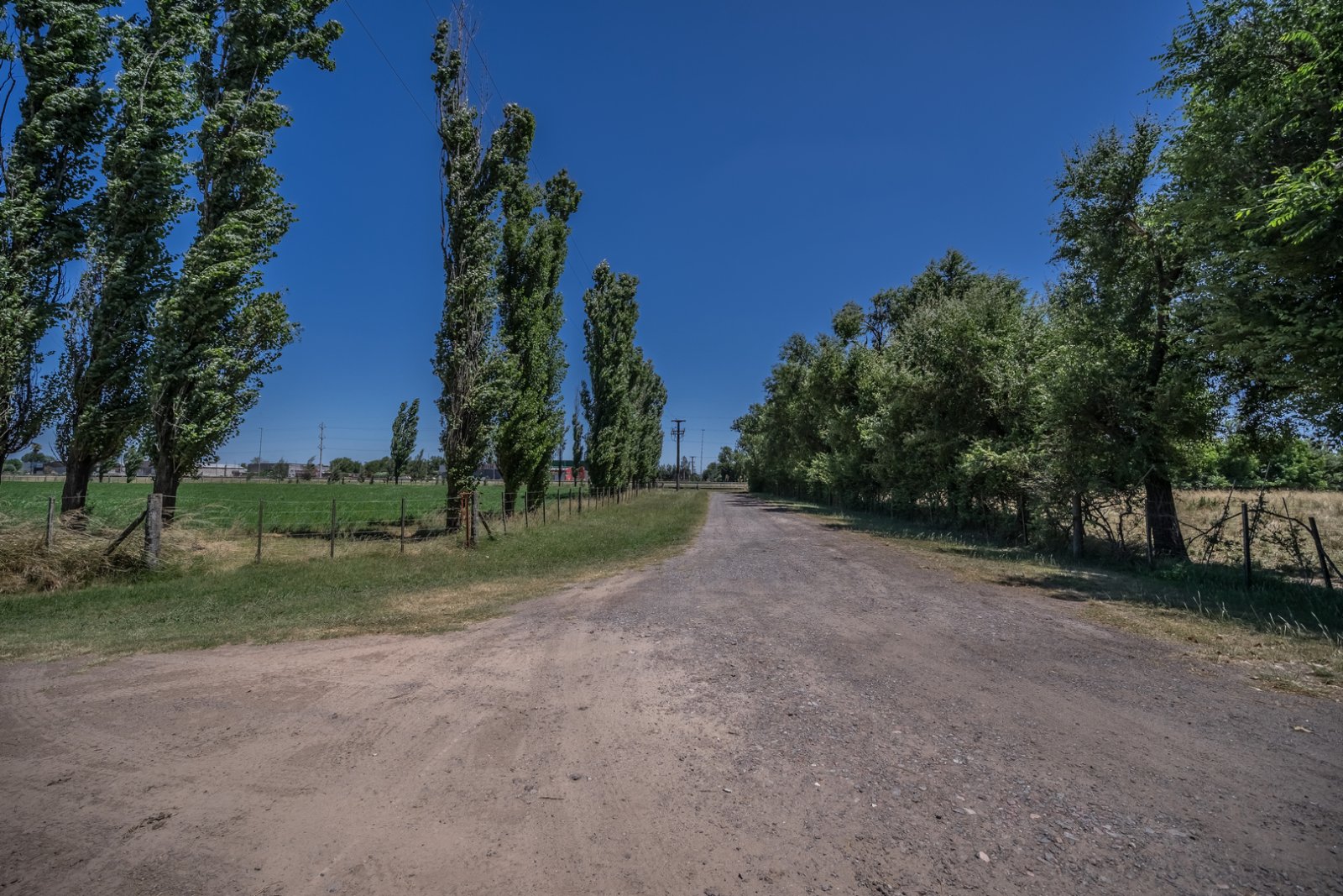 Lote 8 hectáreas Lujan sobre Ruta 5 a metros de Colectora Acceso Oeste — foto 14
