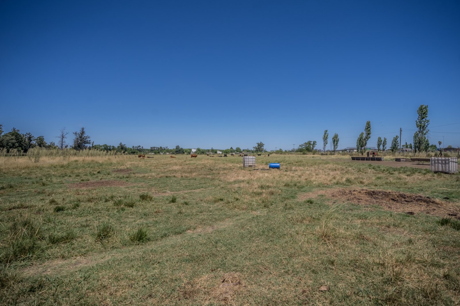 Lote 8 hectáreas Lujan sobre Ruta 5 a metros de Colectora Acceso Oeste — foto 10