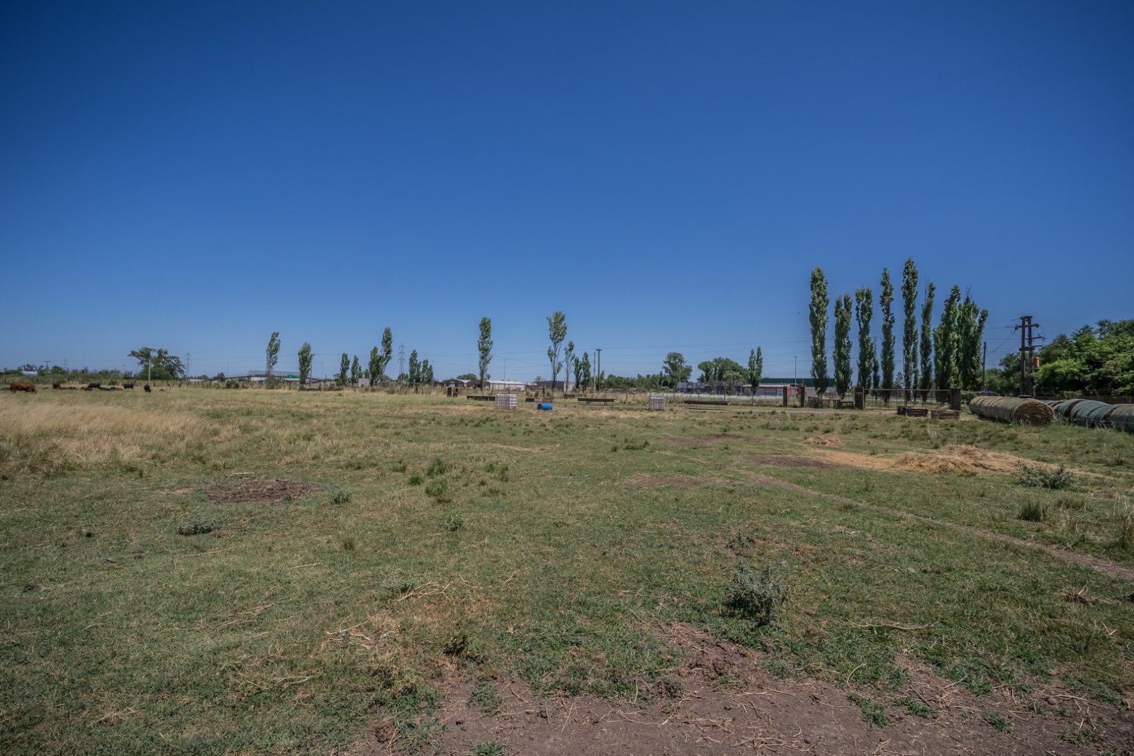Lote 8 hectáreas Lujan sobre Ruta 5 a metros de Colectora Acceso Oeste — foto 6