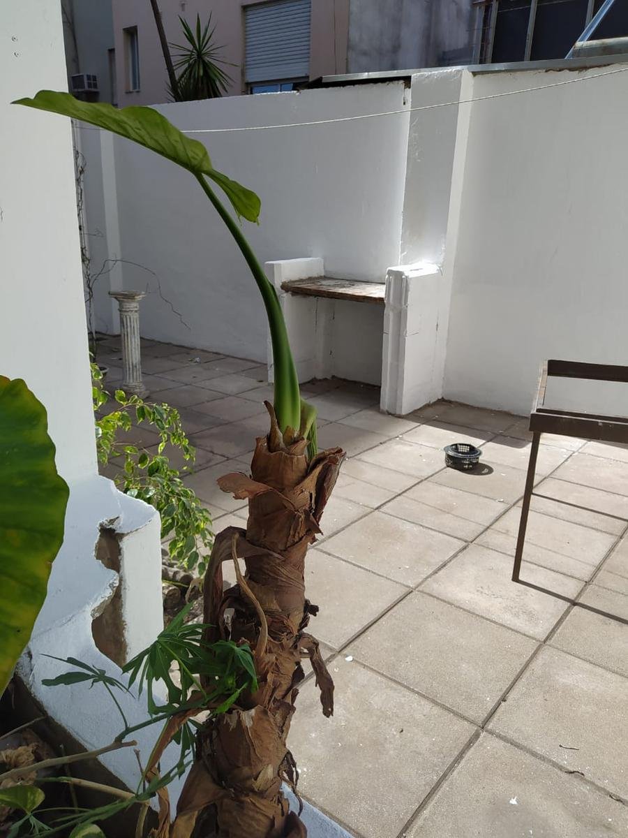 VENTA | B° General Paz | 55 m2 - Planta Baja | 1 Dor. | Patio con asador propio | Renta anual 7.5% en USD | Viví o Invertí — foto 2