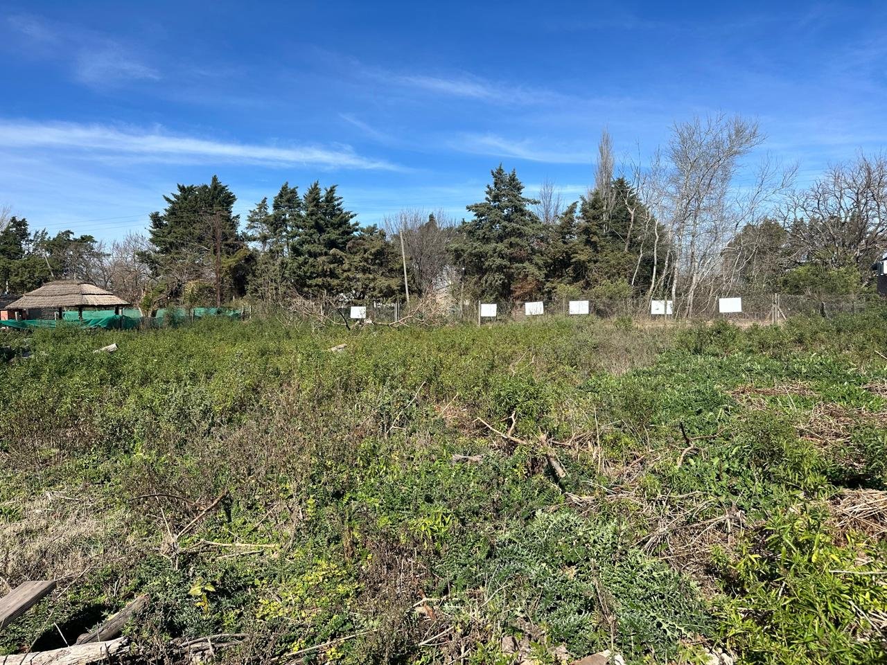 Venta terreno Ibarlucea - Barrio Los Sauces - Lote de gran superficie 1.100m2