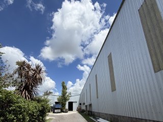 Galpones / Depósitos - Alvear -  Alquiler