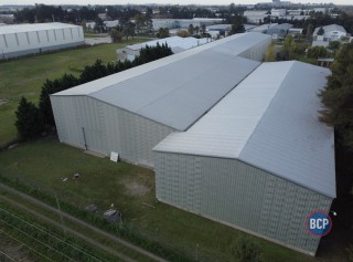 Galpones / Depósitos - Alvear -  Alquiler