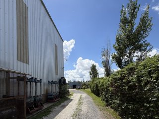 Galpones / Depósitos - Alvear -  Alquiler