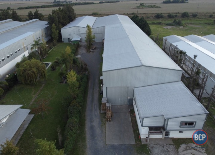 Galpones / Depósitos - Alvear -  Alquiler