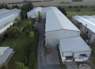 Galpones / Depósitos - Alvear -  Alquiler