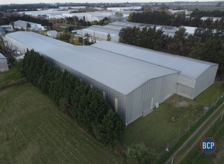 Galpones / Depósitos - Alvear -  Alquiler