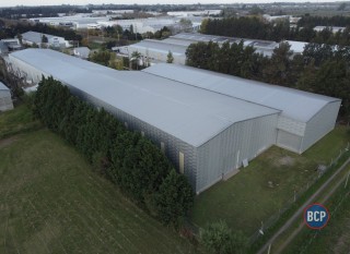 Galpones / Depósitos - Alvear -  Alquiler