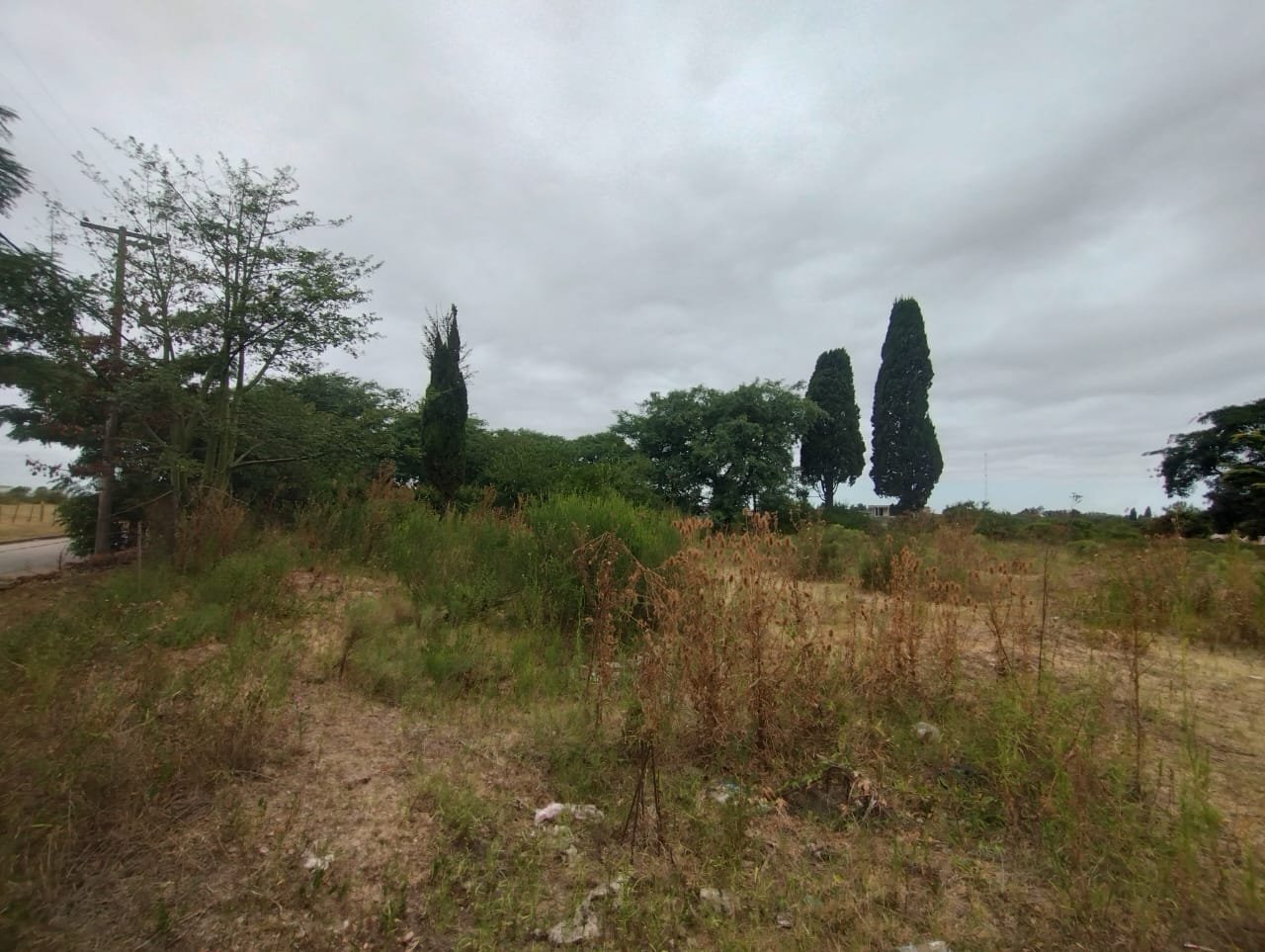 Terreno en San Pedro - Lote 12m x 85m — foto 3