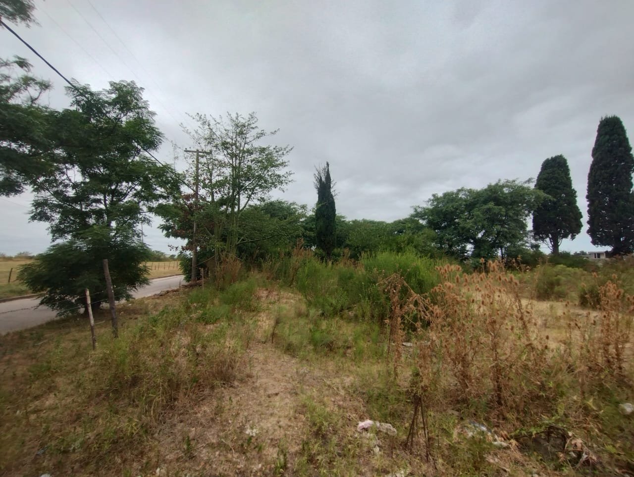 Terreno en San Pedro - Lote 12m x 85m — foto 4