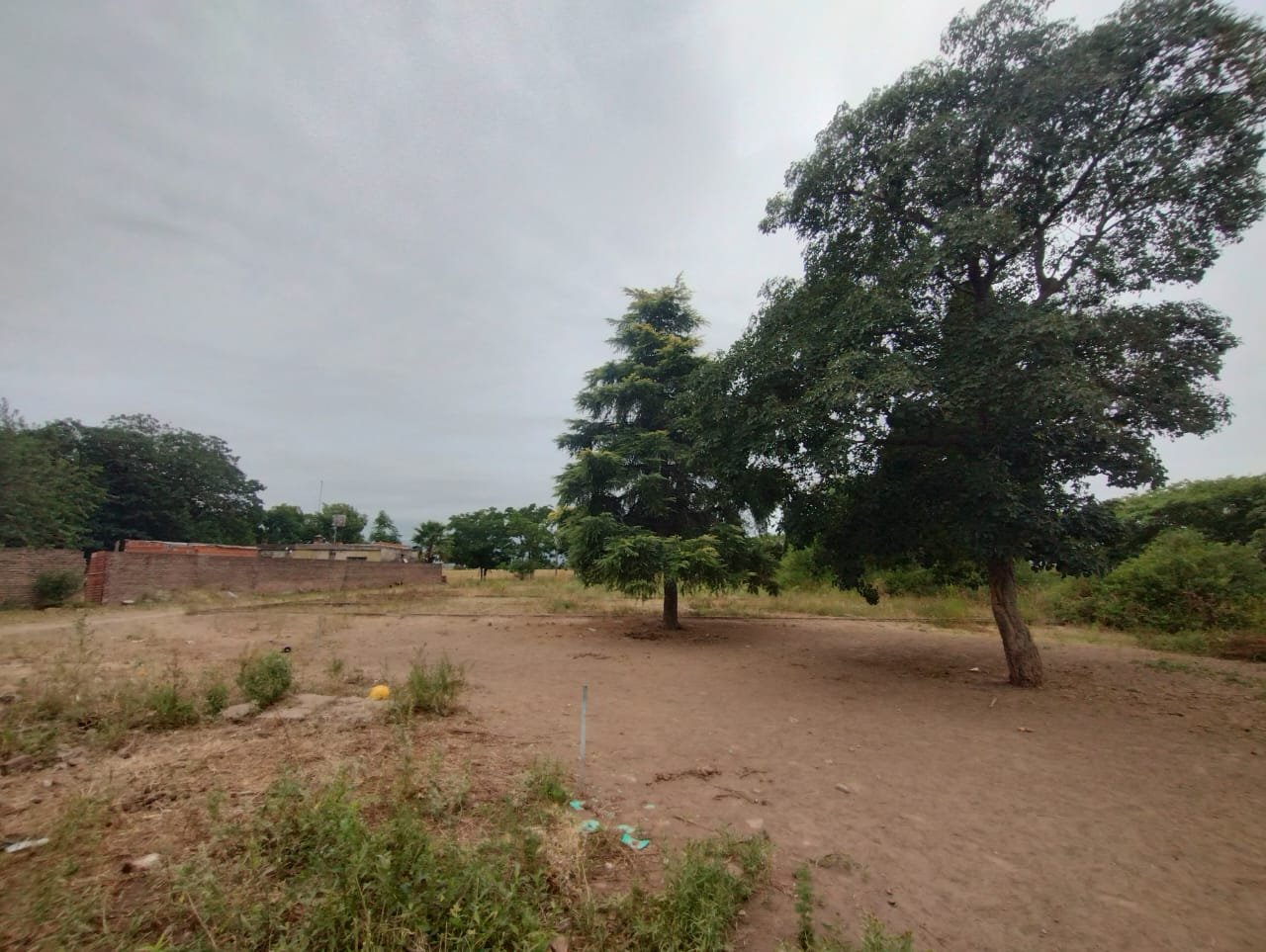 Terreno en San Pedro - Lote 12m x 85m — foto 2