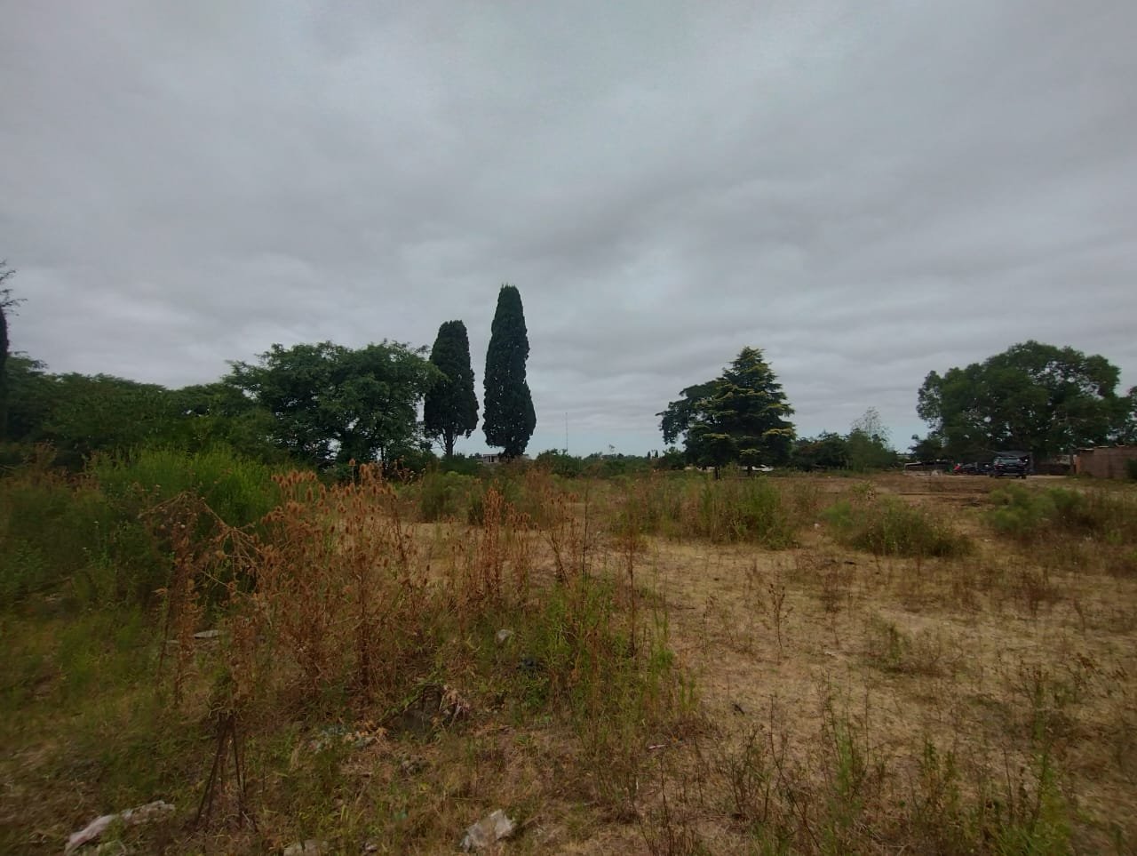 Terreno en San Pedro - Lote 12m x 85m — foto 8
