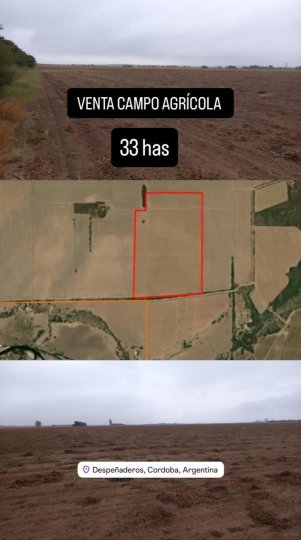 VENTA CAMPO AGRÍCOLA DESPEÑADEROS