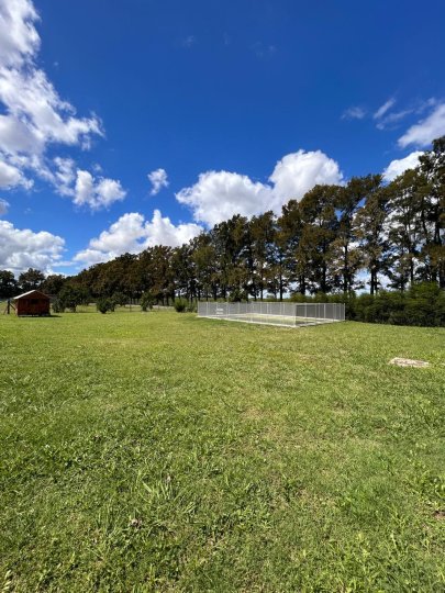 Casas - Fighiera - Venta