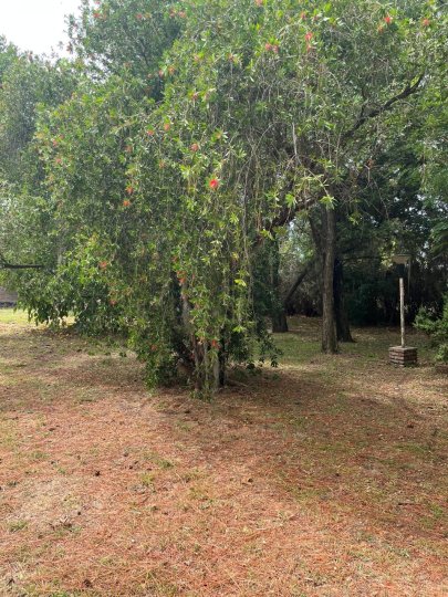 Terrenos - Pueblo Esther - Venta