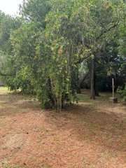 Terrenos - Pueblo Esther - Venta