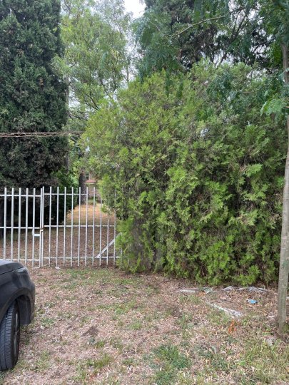 Terrenos - Pueblo Esther - Venta