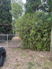 Terrenos - Pueblo Esther - Venta