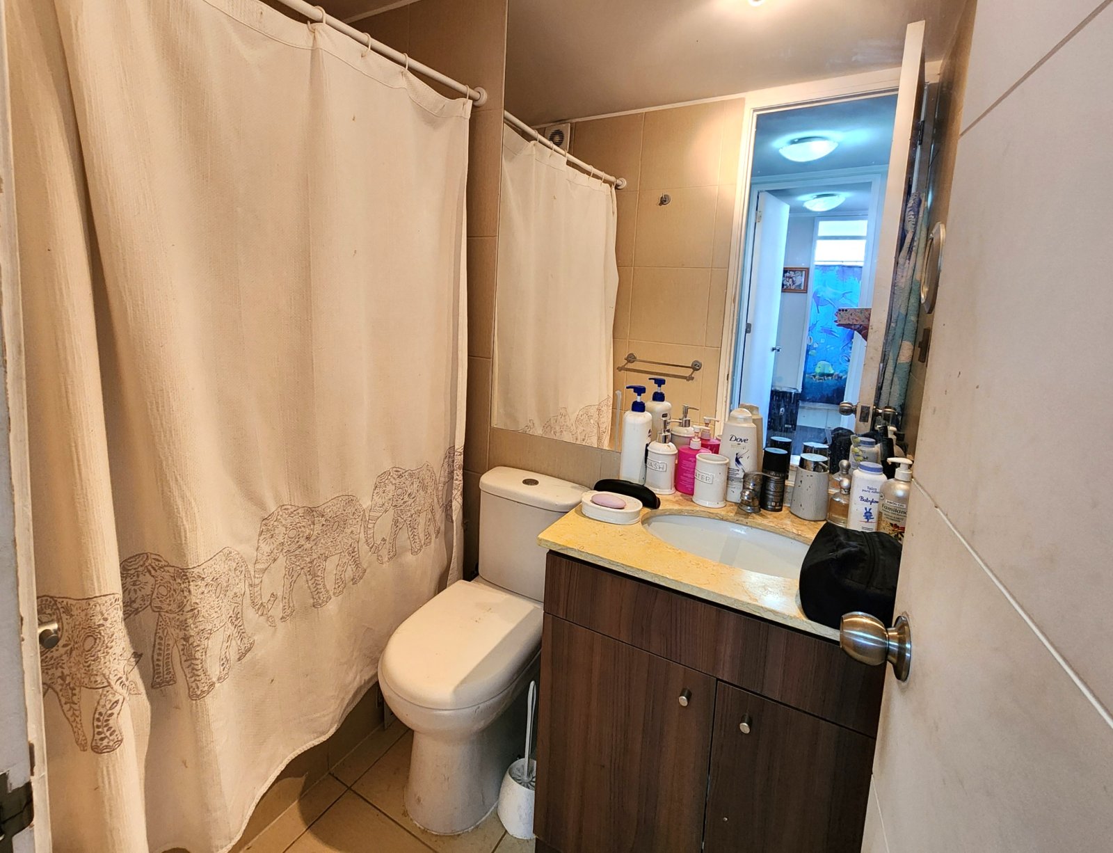 Foto 16