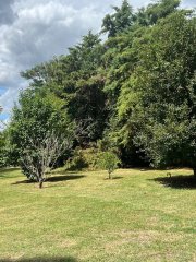 Casas - Roldan - Venta