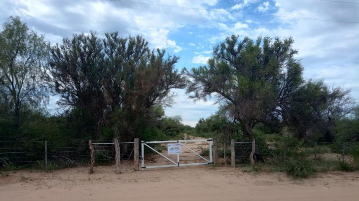 Se vende campo ganadero de 500 hectáreas