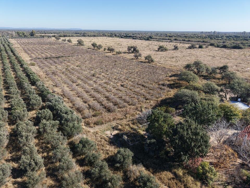 Se vende campo agrícola con riego - Imagen 2