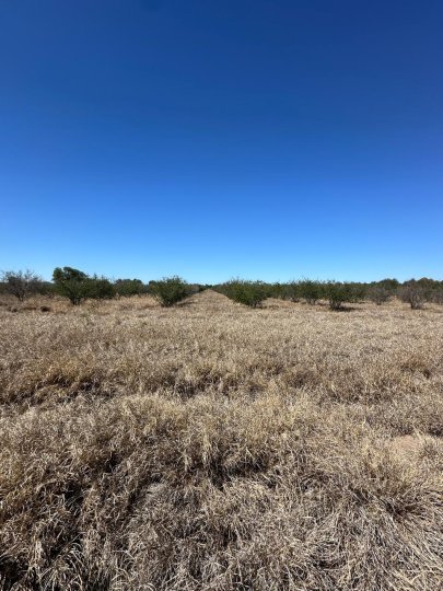 Se vende campo agrícola con riego