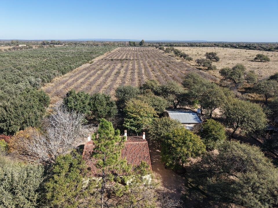 Se vende campo agrícola con riego