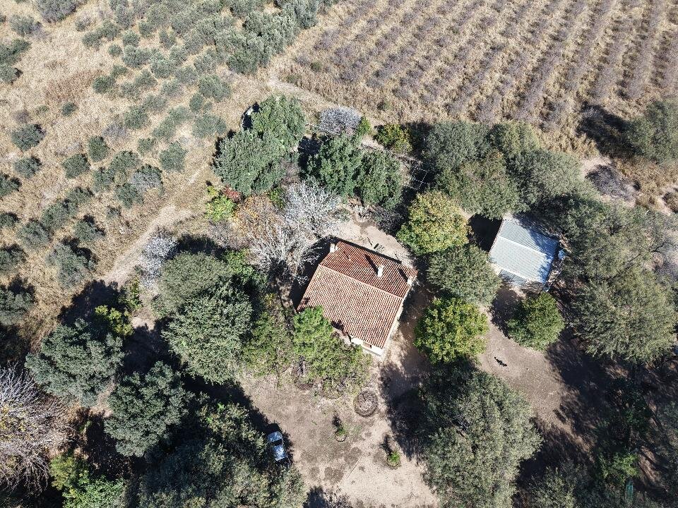 Se vende campo agrícola con riego - Imagen 4