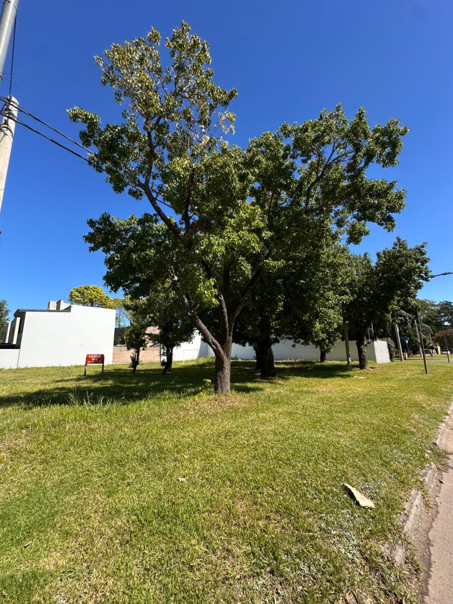 VENTA TERRENO GRANADERO BAIGORRIA MIRADOR DEL PUENTE — foto 7