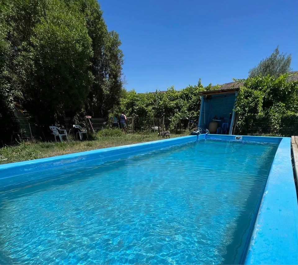 Parcela con piscina y frutales en producción, Lampa-Lo Fontecilla