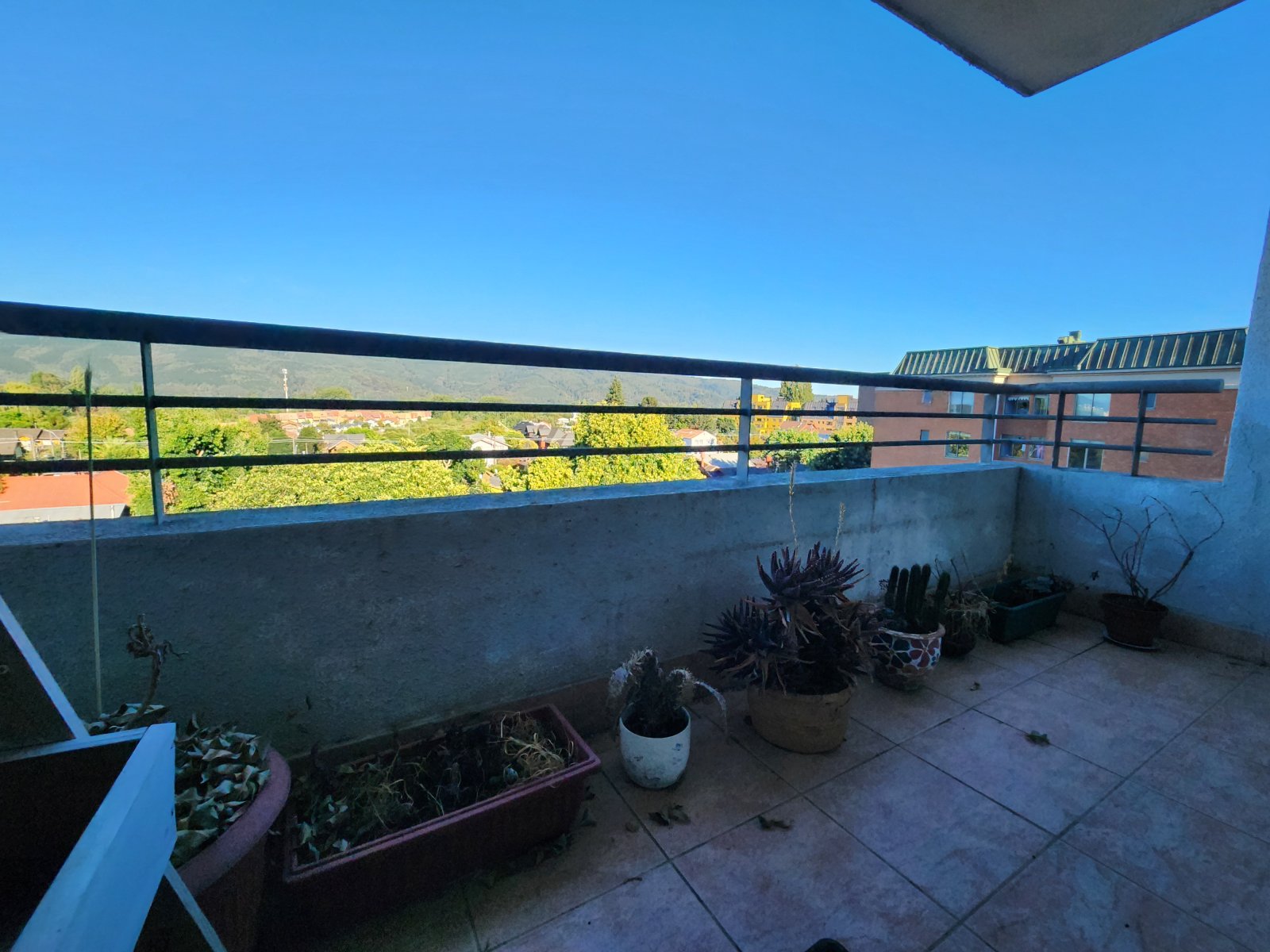 Foto 11