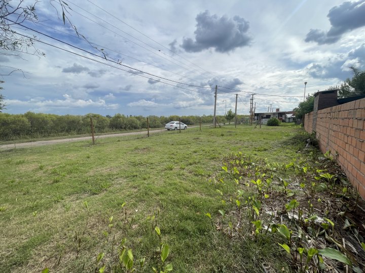 Terrenos - Alvarez - Venta