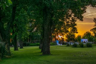 Terrenos - Otra Ciudad - Venta