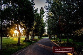 Terrenos - Otra Ciudad - Venta