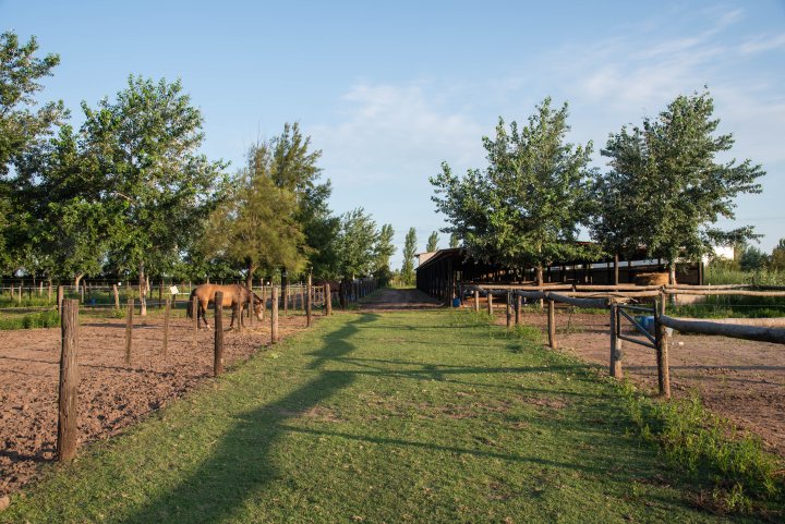 Terrenos - Otra Ciudad - Venta