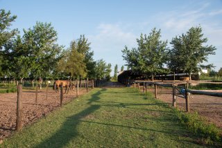 Terrenos - Otra Ciudad - Venta