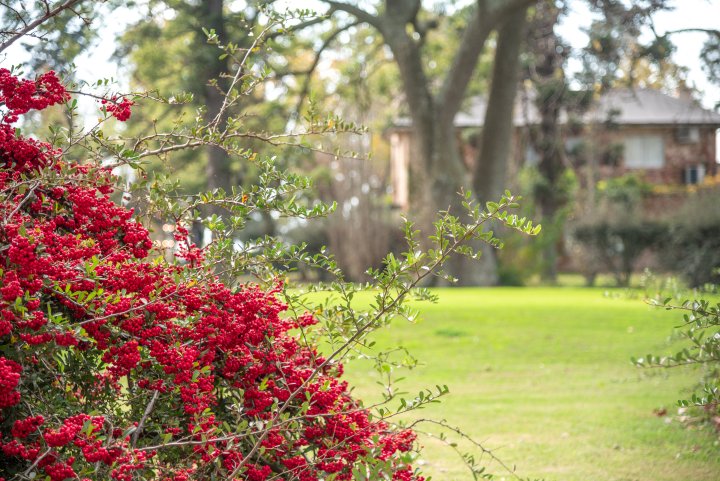 Terrenos - Otra Ciudad - Venta