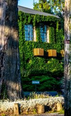 Terrenos - Otra Ciudad - Venta